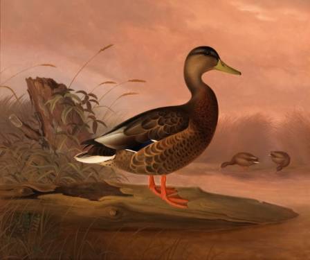 कला इतिहासमा दस उत्कृष्ट जनावरको चित्रण